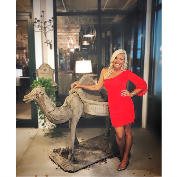 Meet your Posher, Tasha - Picture 2 of 8